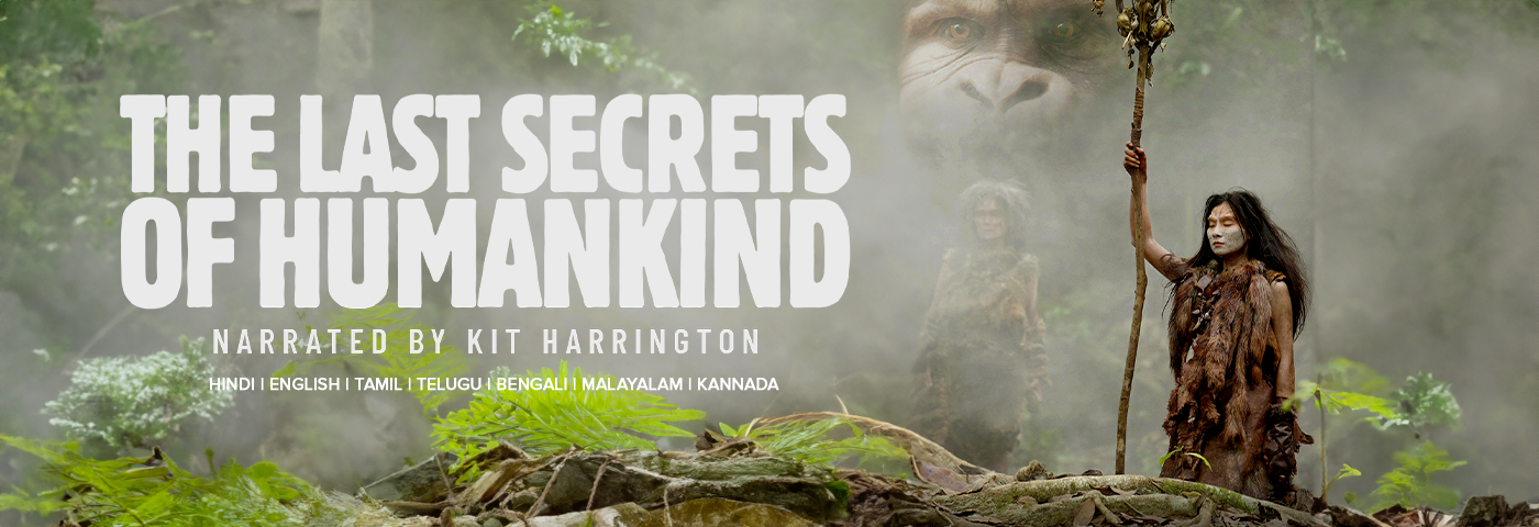 The Last Secrets of Humankind