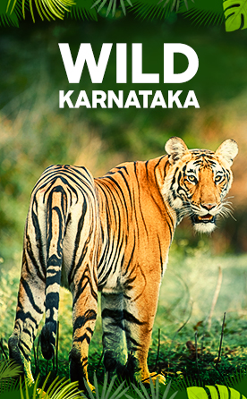 Wild Karnataka