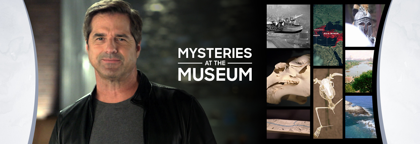 Mysteries At The Museum