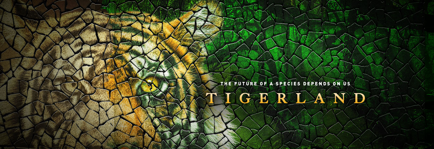 Tigerland